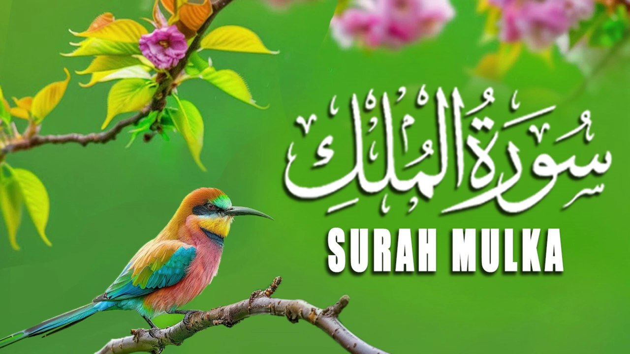 Heart Touching and Peaceful recitation of Surah Mulk (The Kingdom) سورة الملك |