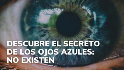 Descubre el secreto de los ojos azules: no existen