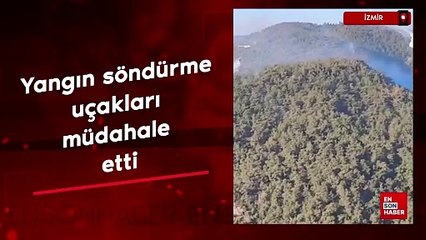 İzmir'de orman yangını: İşte son durum