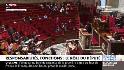 Responsabilités, salaire, utilité : A quoi sert VRAIMENT le député que vous devez élire aujourd'hui ?