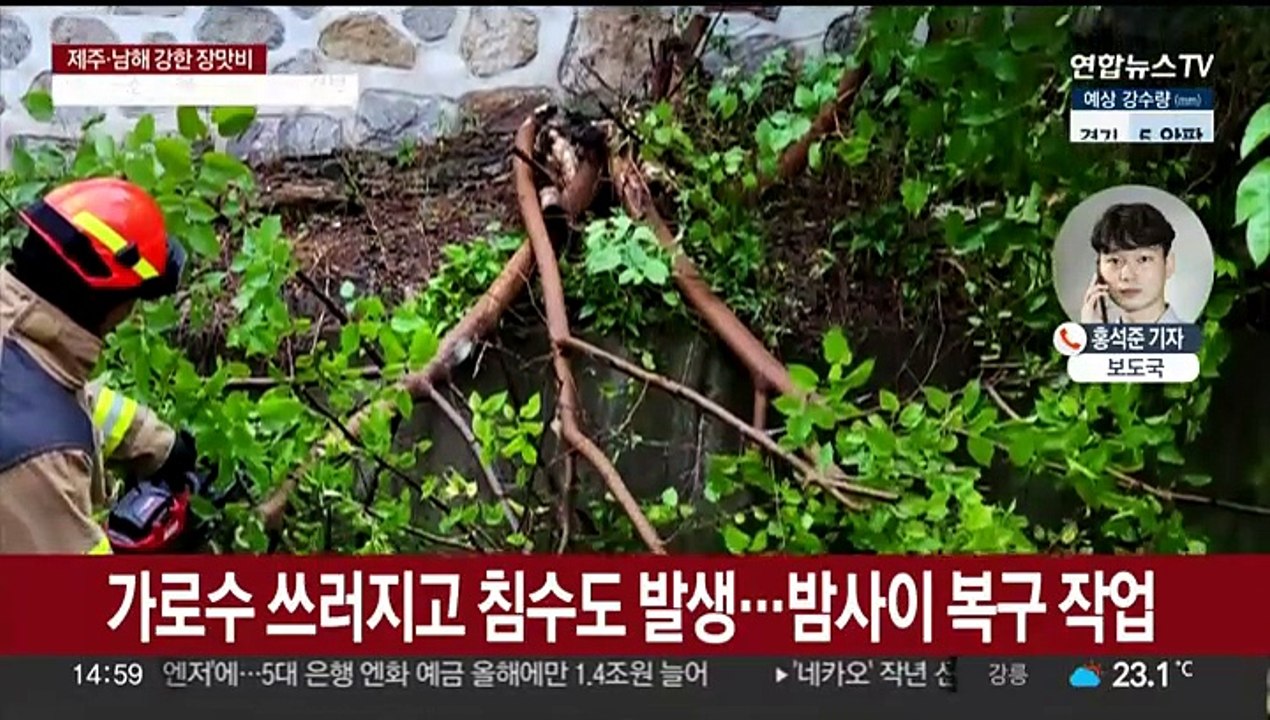 호우에 침수·결항 속출…전국 곳곳 장마 피해