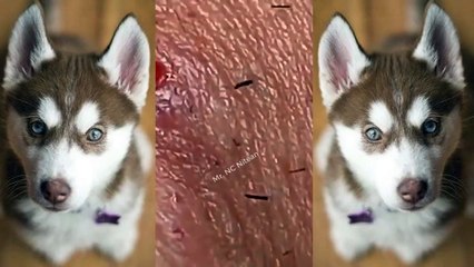 Año nuevo chino​​ vacaciones de belleza (28)