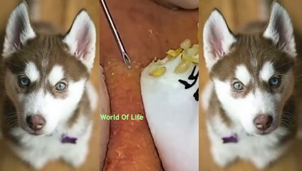 Año nuevo chino​​ vacaciones de belleza (23)