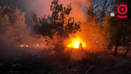 Antalya'da çıkan orman yangını söndürüldü