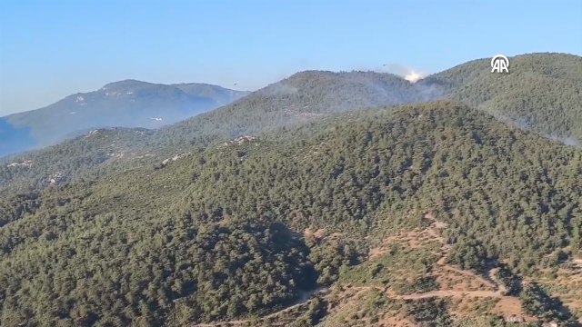 İzmir'deki orman yangınına havadan müdahale sabah saatlerinde yeniden başlatıldı
