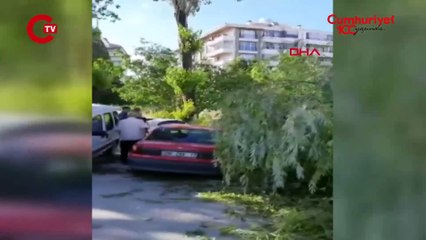 Ankara'da kuvvetli rüzgar Ağaç devrildi, 4 araç hasar gördü