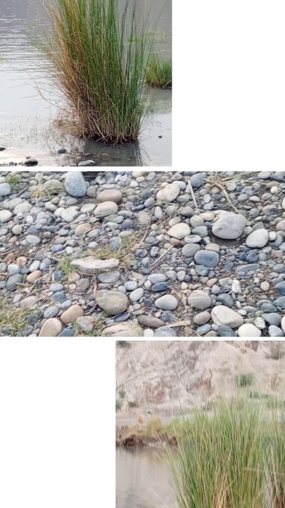 Pakistan Beautiful Place #shortsfeed #short #shorts #shortvideo #pakistani #pakistanplaces