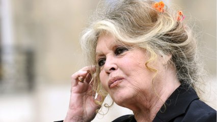GALA VIDEO - Brigitte Bardot adulée : ce nombre impressionnant de courriers qu’elle reçoit chaque jour