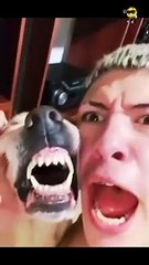 Fun with Animals  #adamrose #construction #funnyvideo #funnywork #funny #funnyfails #humor