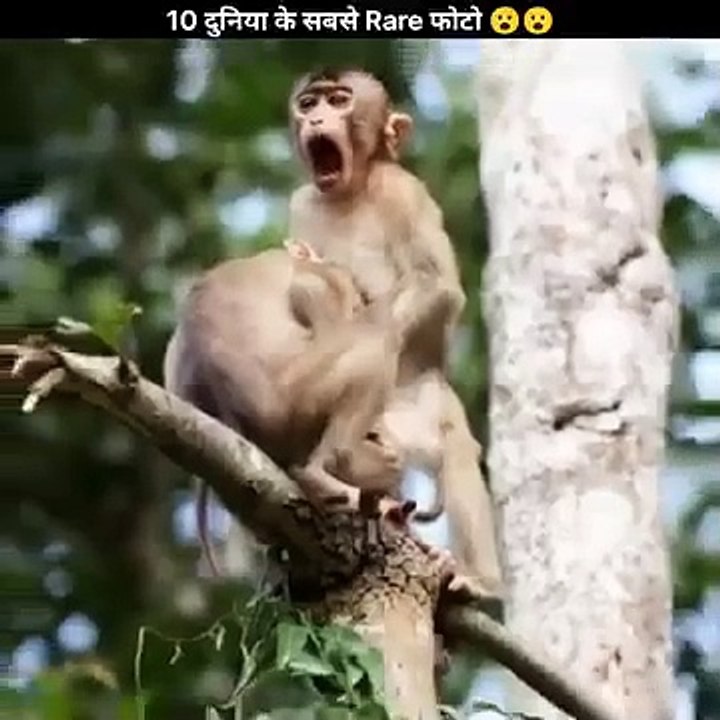 Amazing Facts