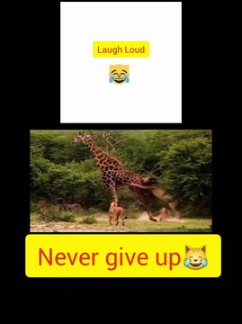 #AwkwardMoments#UnintentionalComedy#EpicFail#OopsIDidItAgain#CantMakeThisUp#LaughingAtMyself#WhenYouKnowYouKnow#LifeIsWeird#RandomLOL#W