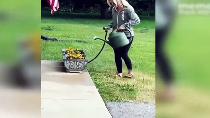 if you laugh 0 times, you louse Hahaha Fun Time