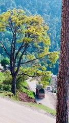 This is the Murree  Looks the beautiful weather view