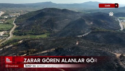 İzmir'de orman yangınında zarar gören alanlar havadan görüntülendi