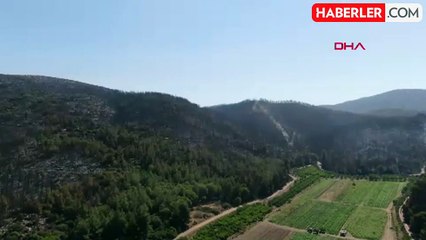 İzmir'de çıkan yangınlarda onlarca dönüm alan zarar gördü