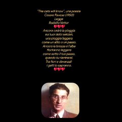 "The cats will know”, una poesia Cesare Pavese (1950)Legge Rodolfo Vettor