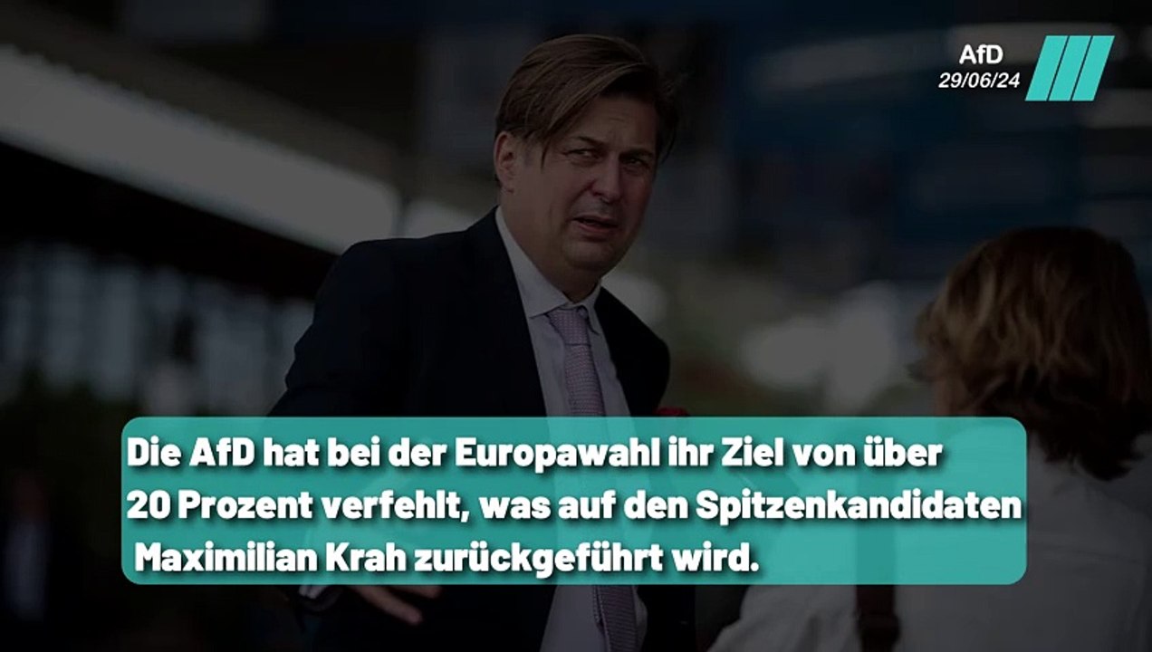Ende des Krah-Aufstands ? Einigung mit Höcke und der AfD Spitze