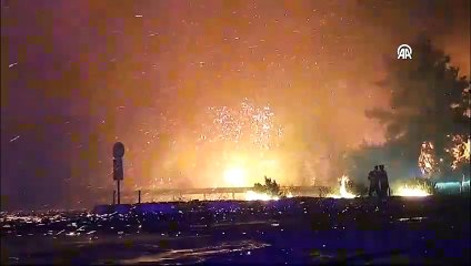 İzmir'deki yangında zarar gören alan havadan görüntülendi