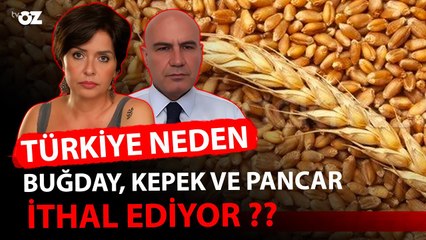 TÜRKİYE NEDEN BUĞDAY, KEPEK VE PANCAR İTHAL EDİYOR