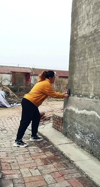 Best Funny Videos 2024 | Best Comedy Video 2024