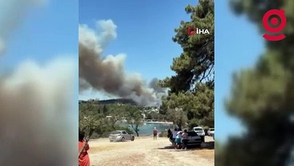 Milas'ta orman yangını!