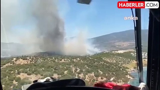 Muğla'nın Milas ilçesinde orman yangını çıktı