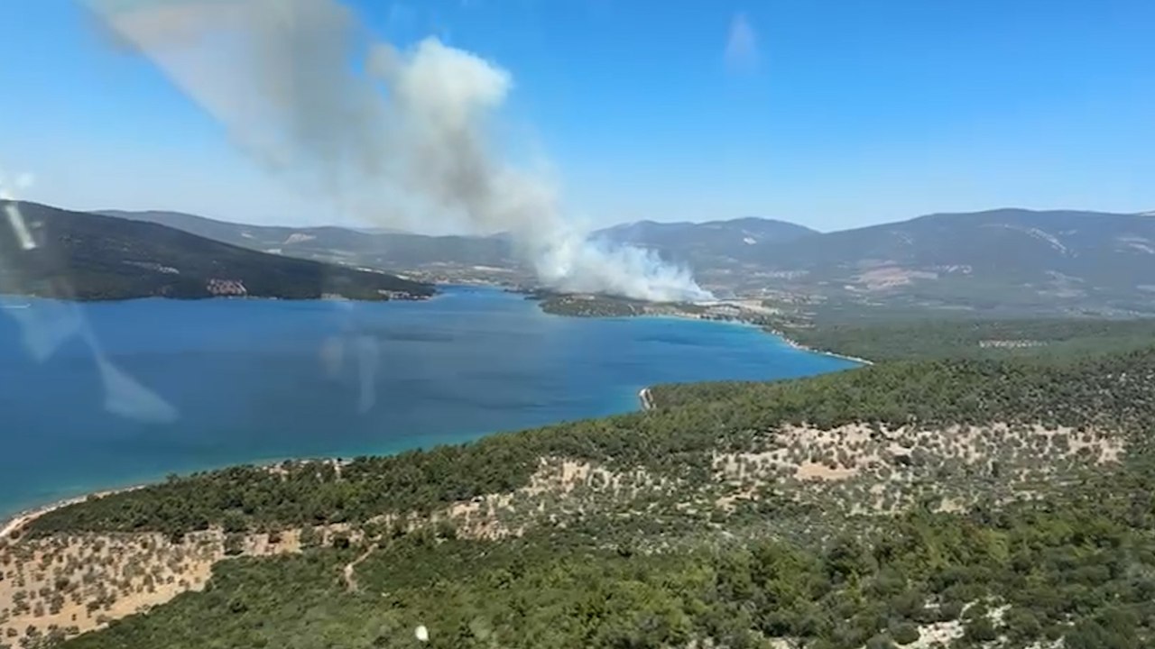 Muğla'da orman yangını