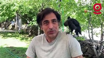 Yavru kargaya bebek gibi bakıyorlar