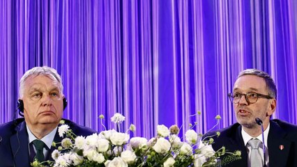 Hungría, República Checa y Austria anuncian un nuevo grupo de extrema derecha en la Eurocámara