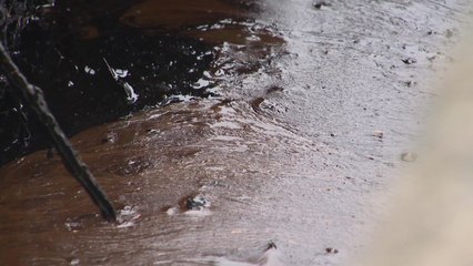 나주 농수로에 폐유 버려져...경찰, 용의자 추적 / YTN