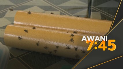 Tugas khas ADUN Sungai Bakap, selesaikan masalah lalat