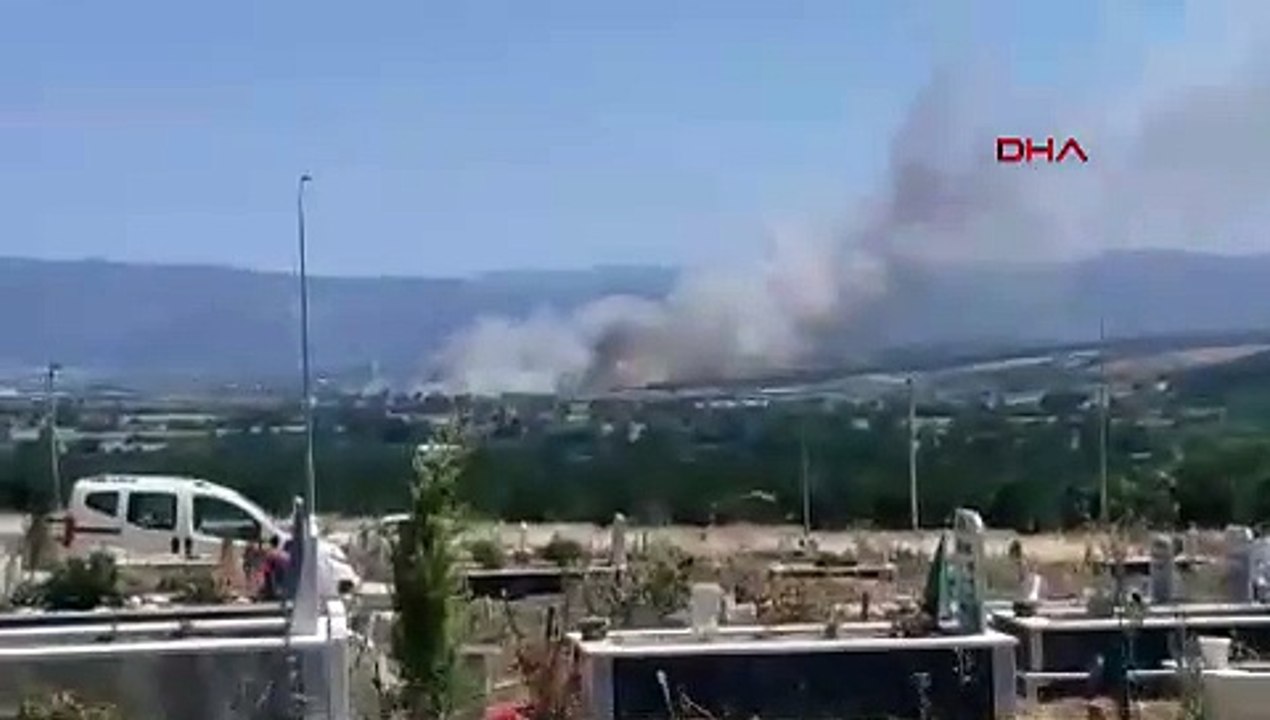 BURSA'da anız yangını ormana sıçradı