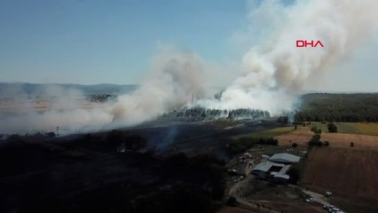 Anız yangını, Bursa Uludağ Üniversitesi kampüsünün de içinde olduğu ormana sıçradı