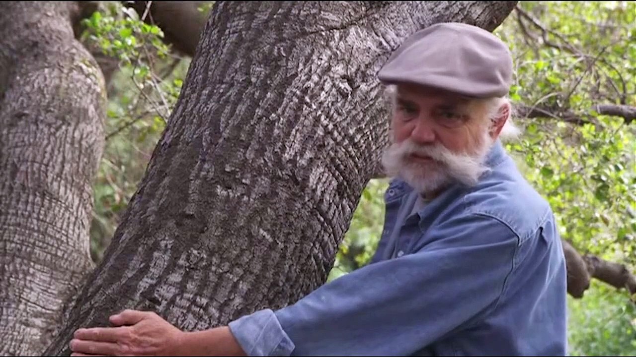 CLOSER TO GOD JESSICA'S JOURNEY   BEST HD CHRISTIAN FAMILY MOVIE