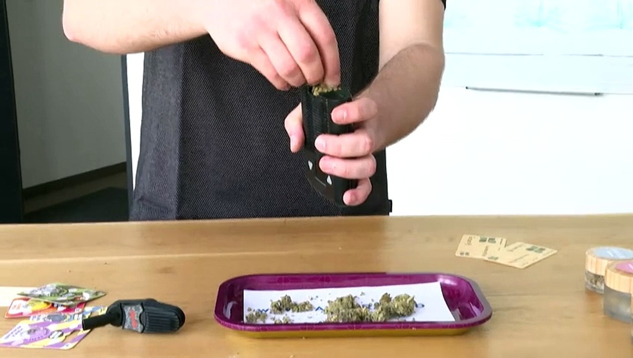 Cannabis aus dem club: anbauvereine starten zum 1. juli