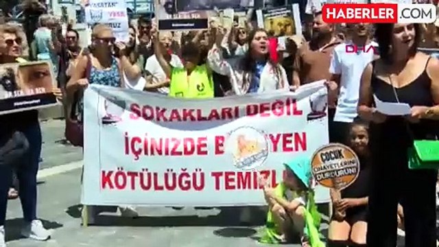 Hayvanseverler, başıboş sokak köpeklerinin uyutulacağı iddialarına tepki gösterdi