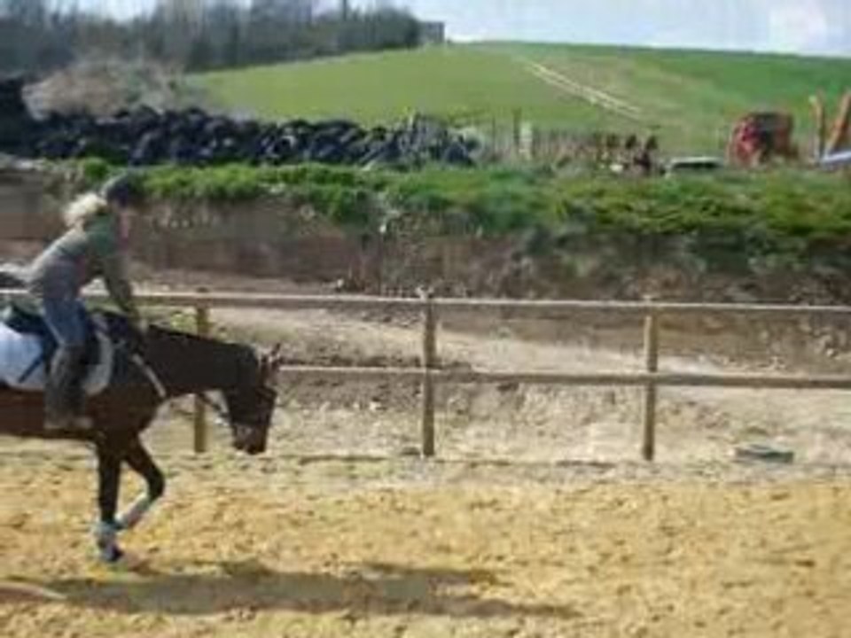 new saut