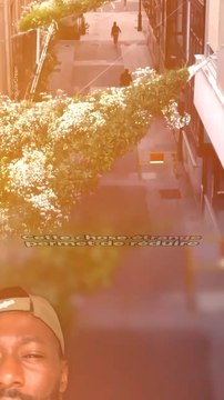 Abonne-toi pour suivre d’autres solutions positives ! @theimpactstory Source : singular green #climatiseur #biodiversité #architecture #vegetation #nature #invention #environnement