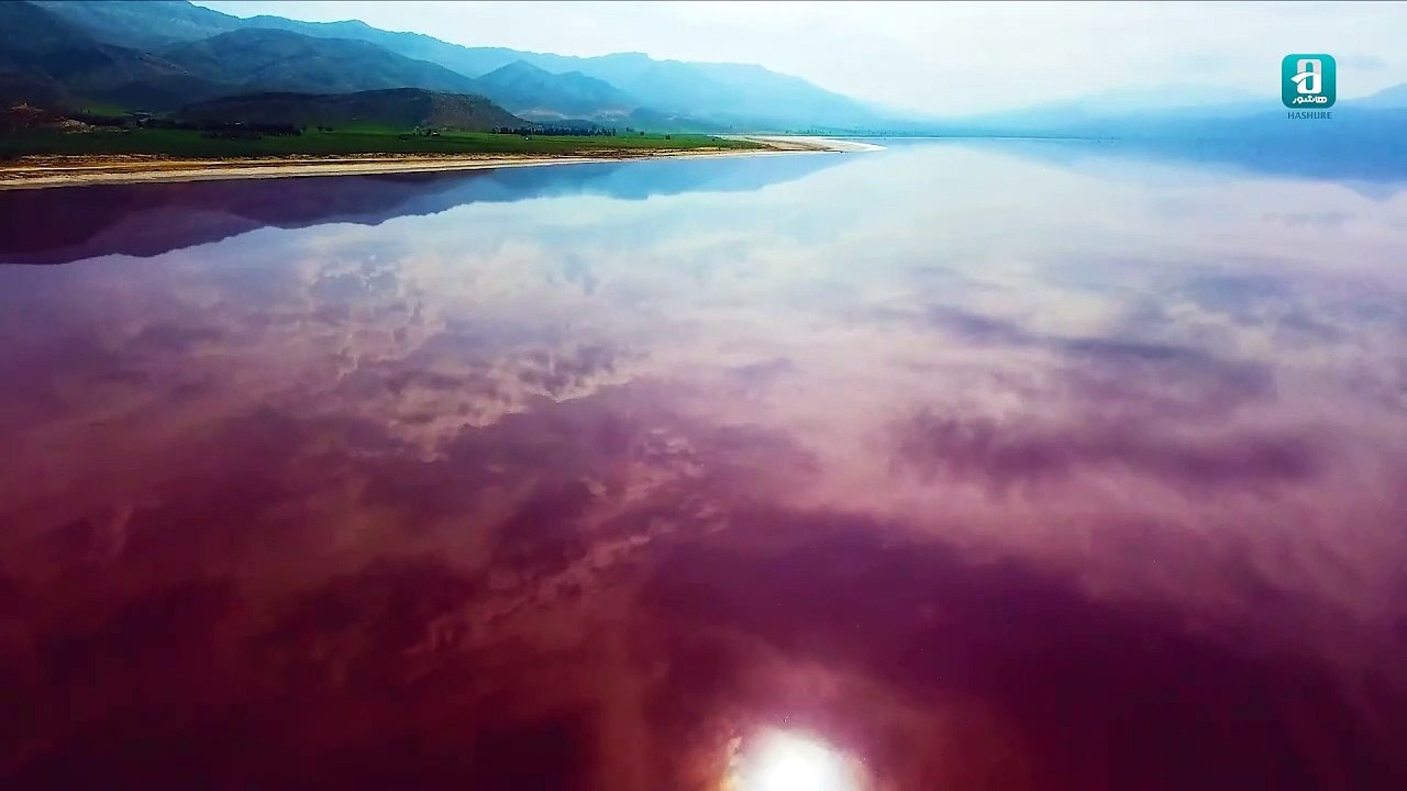 مستند ایرانی بازگشت فلامینگوها | iranian documentary movie Return flamingos