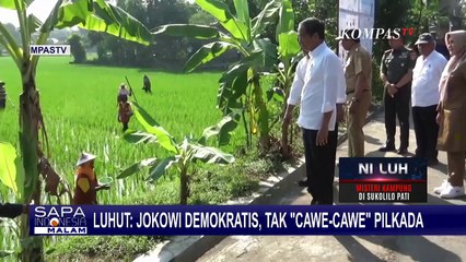Pernyataan Luhut yang Sebut Jokowi Demokratis dan Tak Cawe-Cawe Pilkada Jakarta