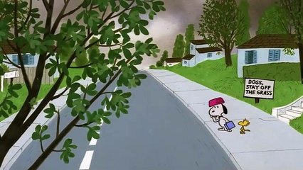 Snoopy, Come Home Bande-annonce (EN)