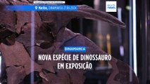 Uma nova espécie de dinossauro divulgada numa exposição na Dinamarca