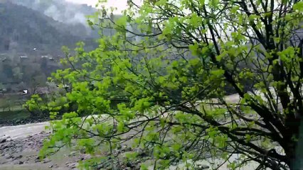 Neelum valley tour