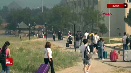 Bursa'da anız yangını