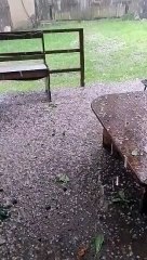 Grad na Dolnym Śląsku w dniu 30 czerwca 2024