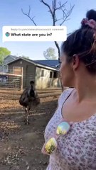 viralvidios #funnyvidios #prankvidios