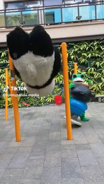 Funny Panda