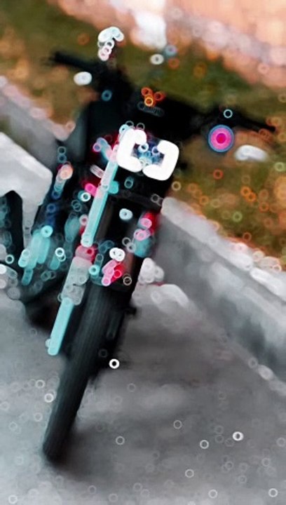 MH Bike 1310