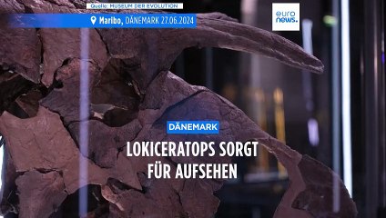 Was ist ein Lokiceratops? Ein Dinosaurier mit riesigen Hörnern und 2 Meter langem Schädel