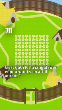 Pourquoi y a-t-il autant de triangulaires ?